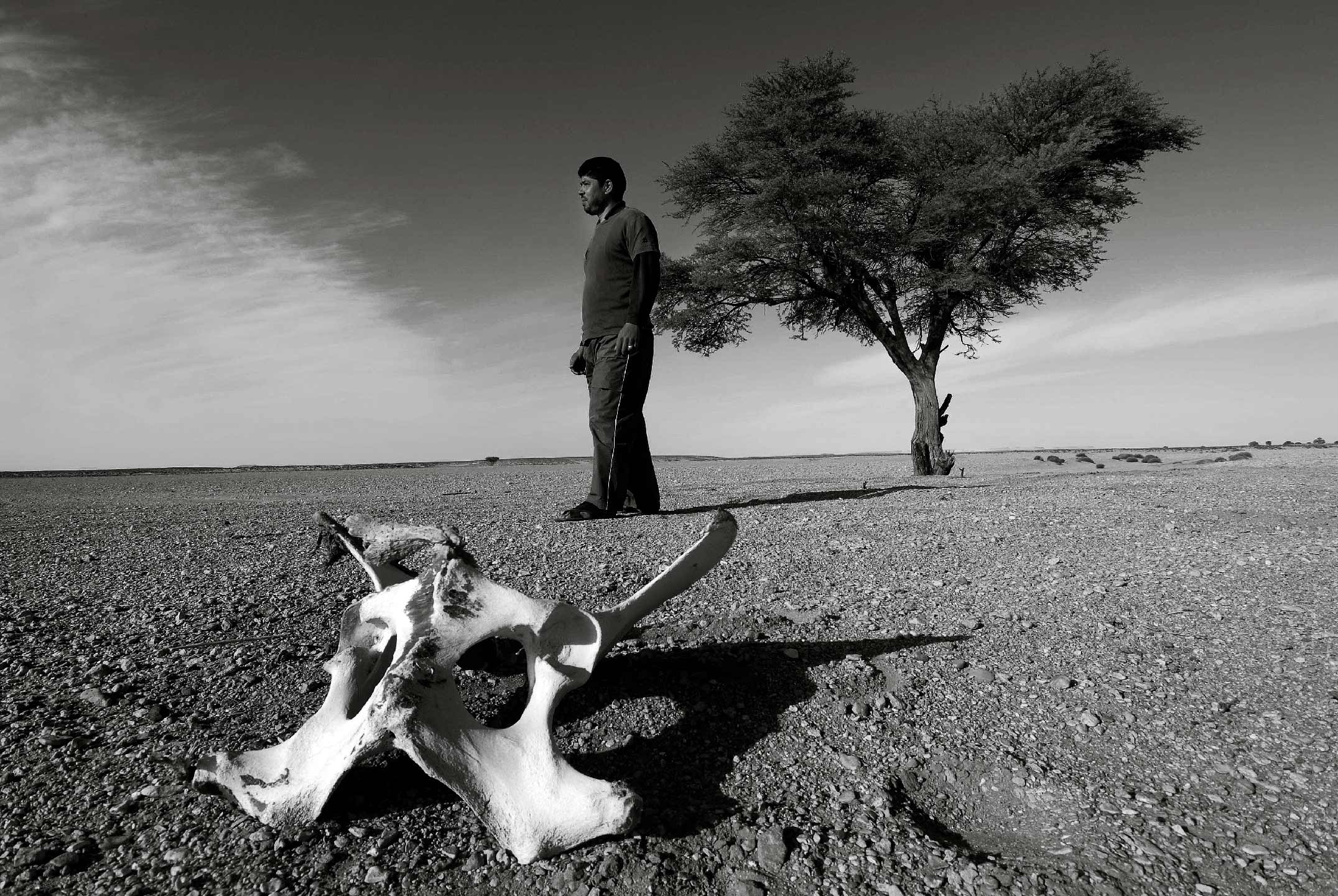 clandestins 2009 photo christian vicens